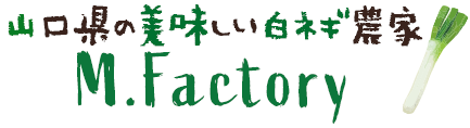 山口県の美味しい白ネギ農家 M.Factory 山口県の美味しい白ネギ農家 M.Factory